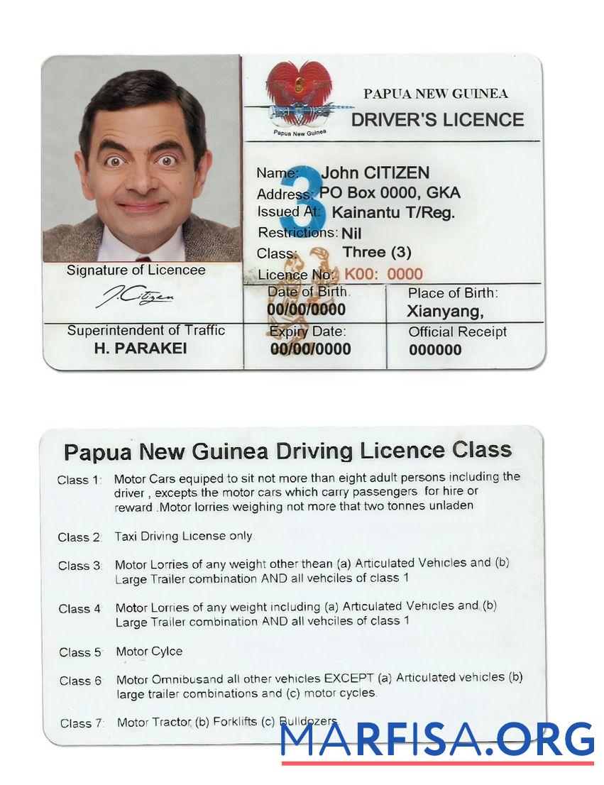 Printable Papua New Guinea driving license template
